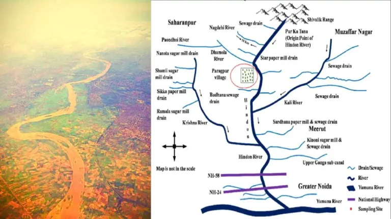 Hindon River: A Tale of Ecological Struggles and Hope for Restoration