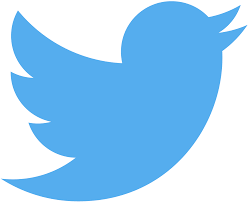 The article "Twitter's New Logo: A Fresh Identity for the Digital Era"